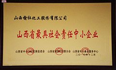 2010年山西省最具社會責(zé)任中小企業(yè)